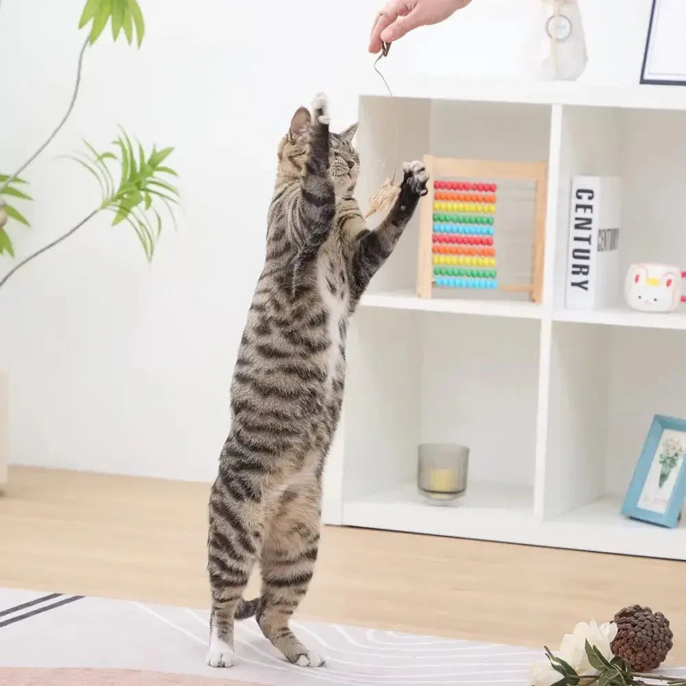PetPals Wicker Rattan Cat Toys for Playful Kittens - Talis Us
