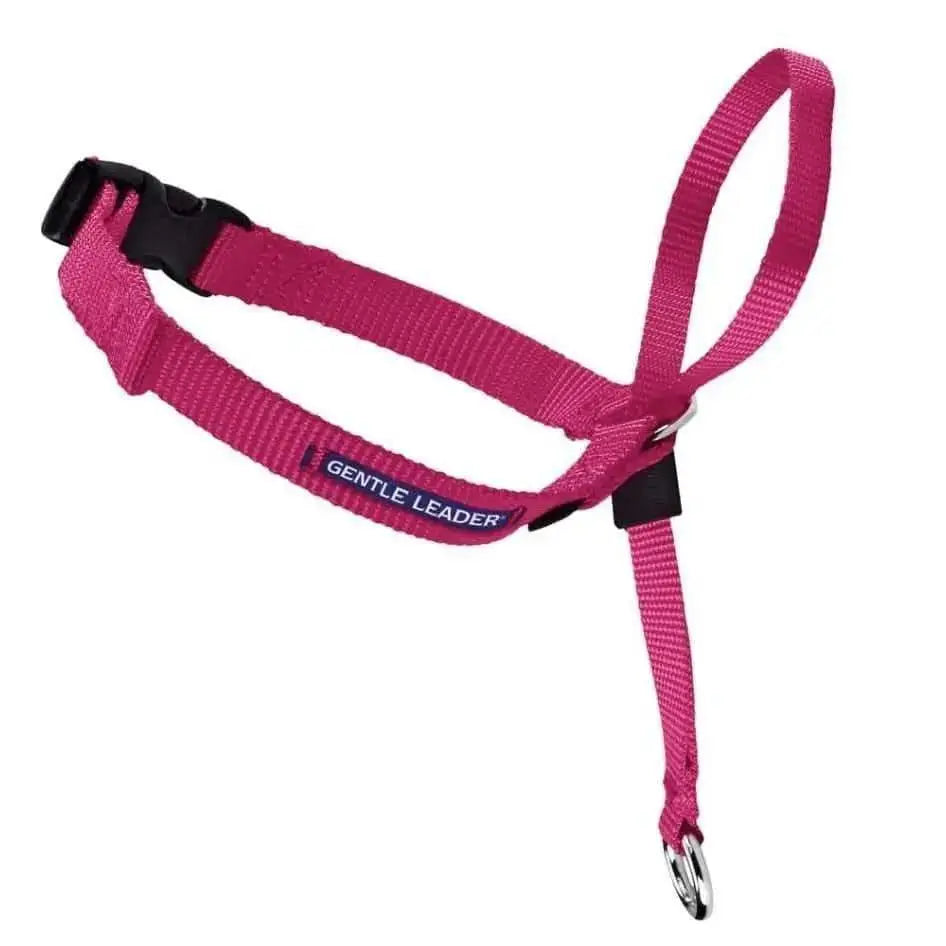 PetSafe Headcollar No-Pull Dog Collar PetSafe CPD