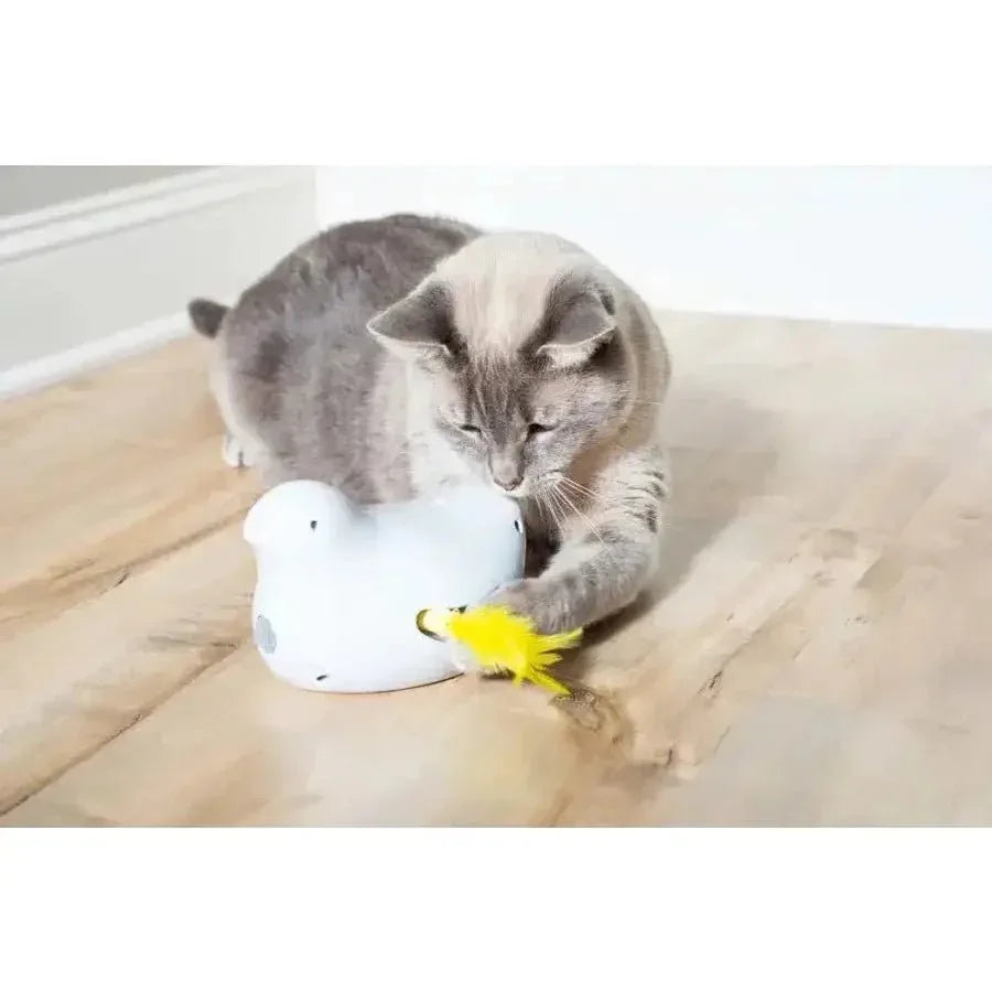 PetSafe Peek - A - Bird Automatic Cat Moving Toys - Talis Us
