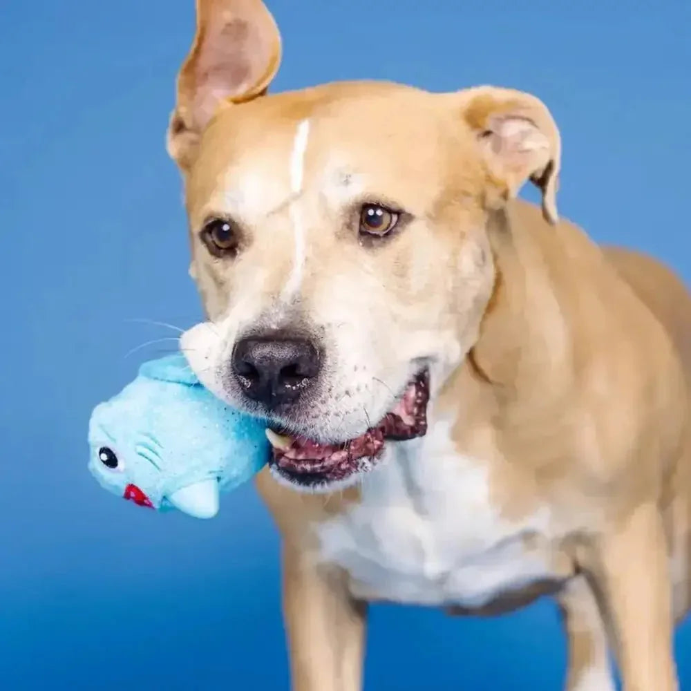 PetShop by Fringe Out of the Blue Rubber/Plush Dog Toy - Talis Us