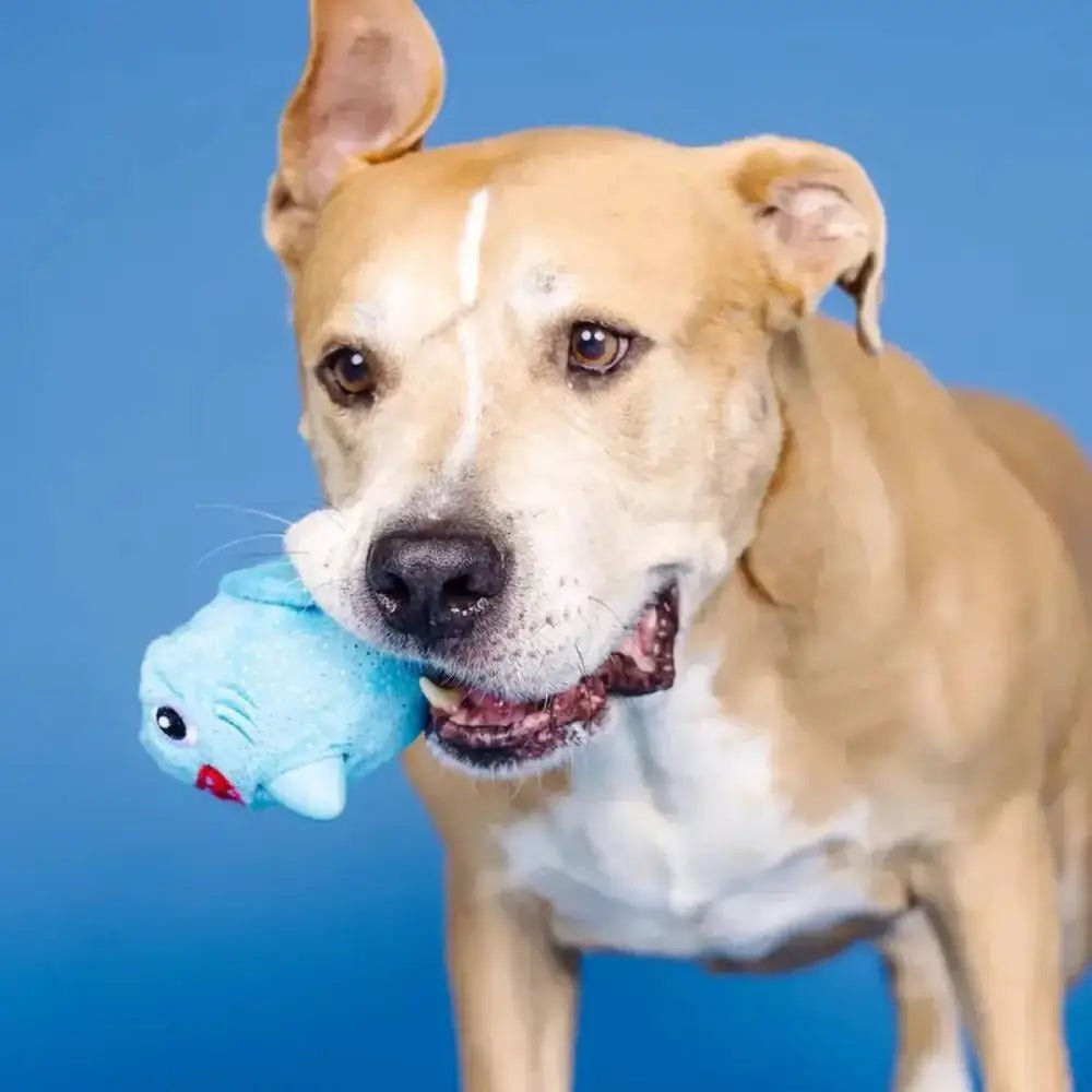 PetShop by Fringe Out of the Blue Rubber/Plush Dog Toy - Talis Us