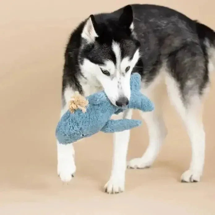 Petshop by Fringe Studio Earth Friendly Dog Toy - Talis Us