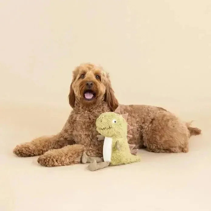 Petshop by Fringe Studio Earth Friendly Dog Toy - Talis Us