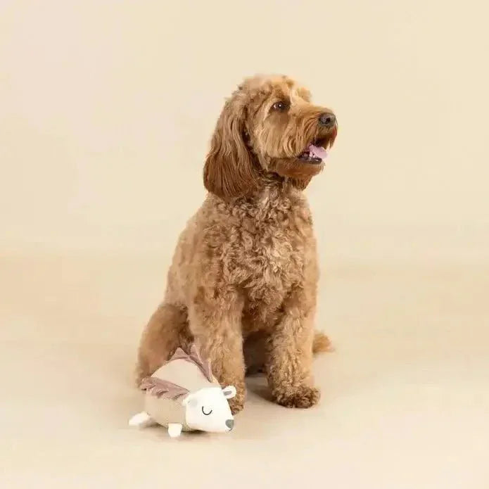Petshop by Fringe Studio Earth Friendly Dog Toy - Talis Us
