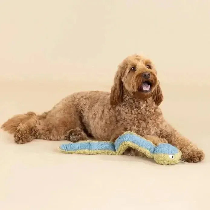 Petshop by Fringe Studio Earth Friendly Dog Toy - Talis Us