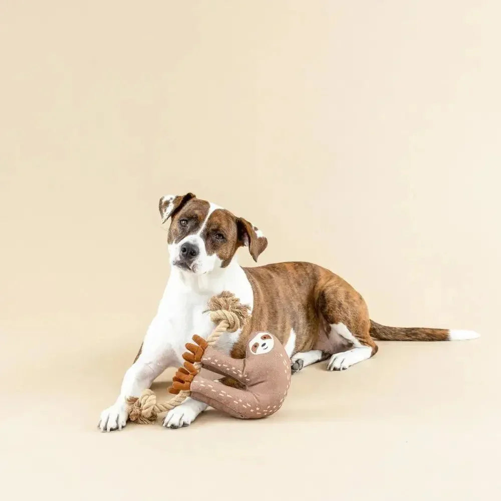 PetShop by Fringe Studio Eat Sleep Repeart Earth Friendly Dog Toy - Talis Us