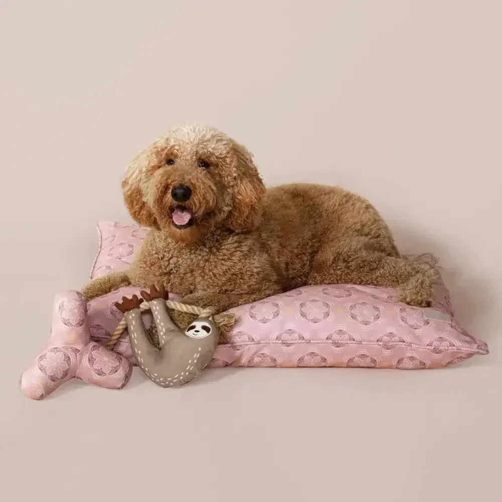 PetShop by Fringe Studio Eat Sleep Repeart Earth Friendly Dog Toy - Talis Us