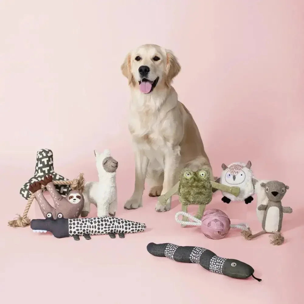 PetShop by Fringe Studio Eat Sleep Repeart Earth Friendly Dog Toy - Talis Us