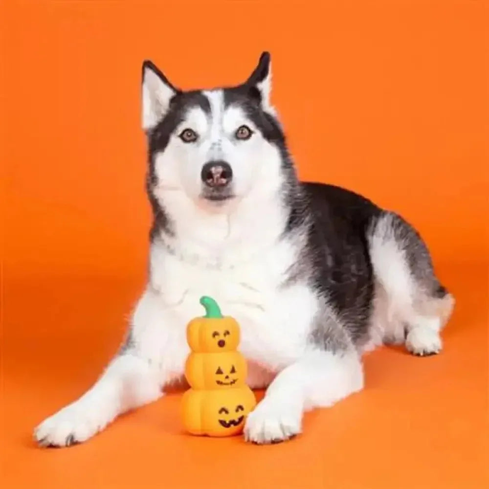 PetShop by Fringe Studio Go Big or Gourd Home Dog Chew Toy - Talis Us