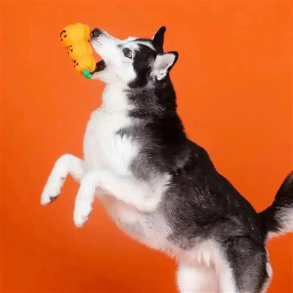 PetShop by Fringe Studio Go Big or Gourd Home Dog Chew Toy - Talis Us