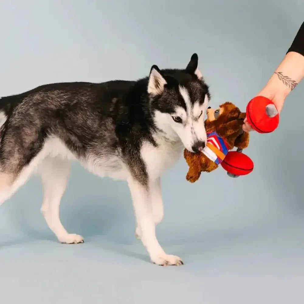 PetShop by Fringe Studio Hustle For That Muscle Plush Dog Toy - Talis Us