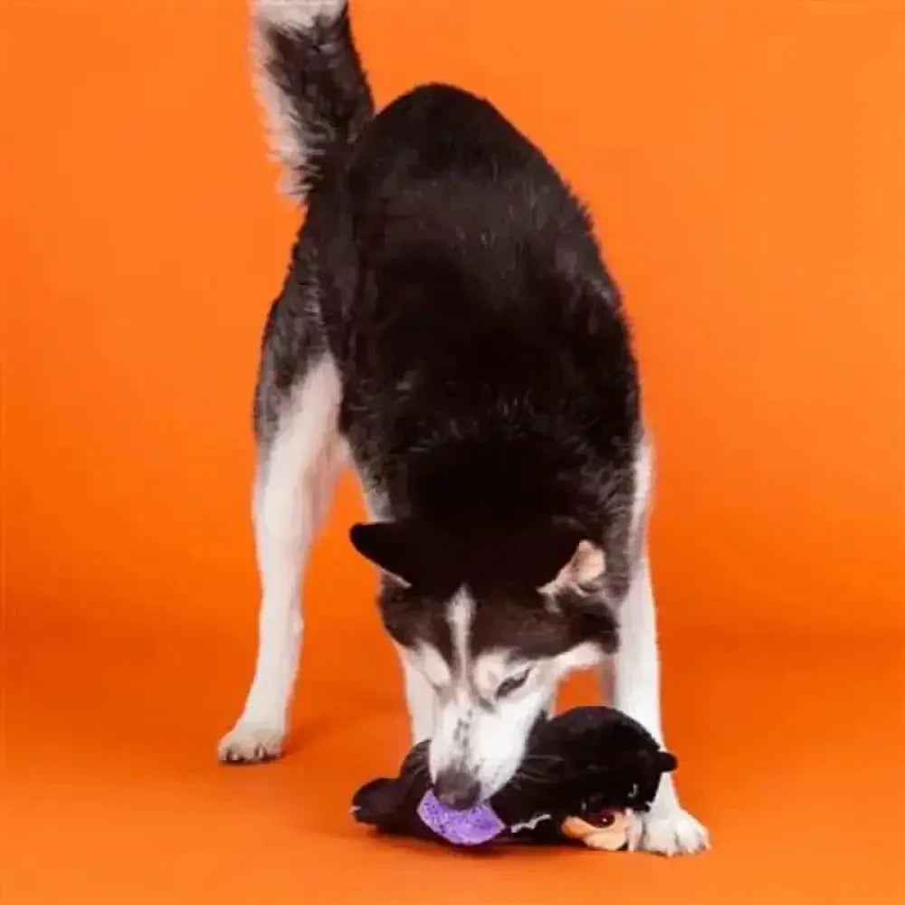 PetShop by Fringe Studio It Be Like Bat Plush Dog Toy - Talis Us