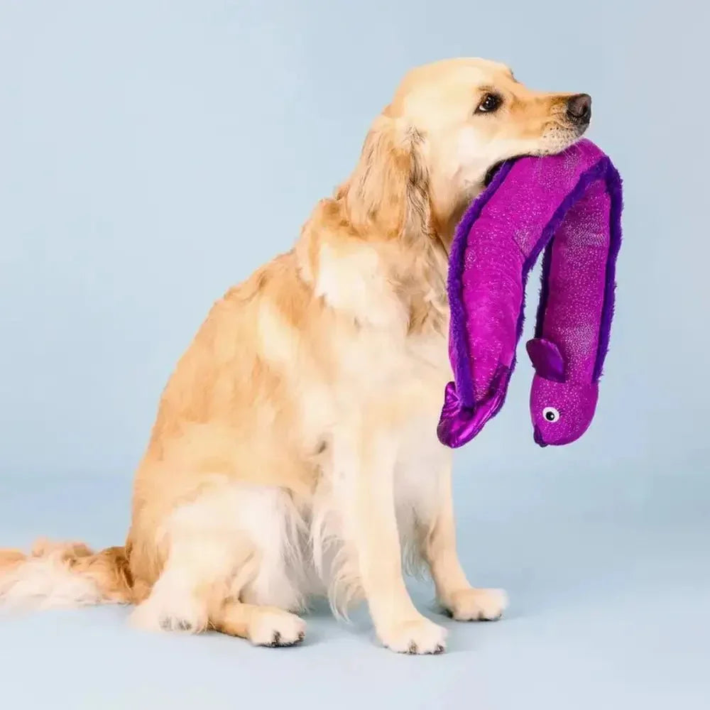 PetShop by Fringe Studio Kind Of A Big Eel Large Plush Dog Toy - Talis Us