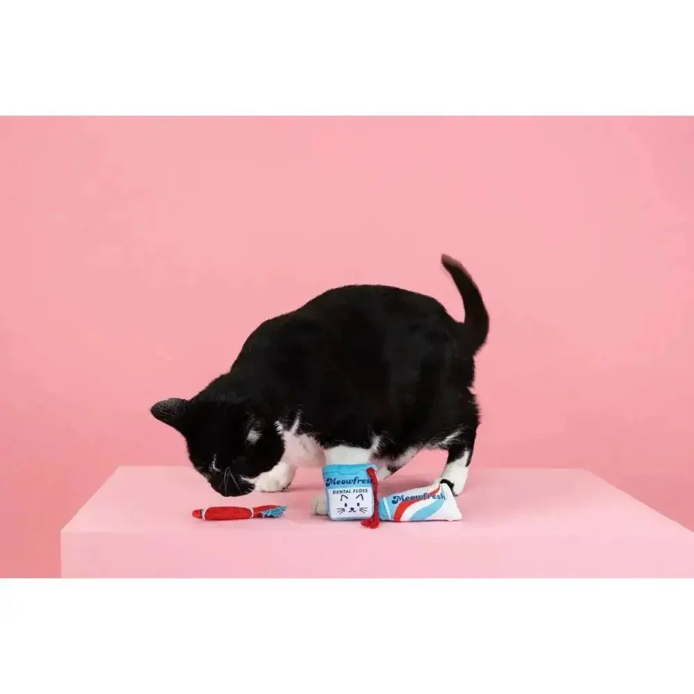 PetShop by Fringe Studio Minty Fresh Cat Toy Set 3pc - Talis Us