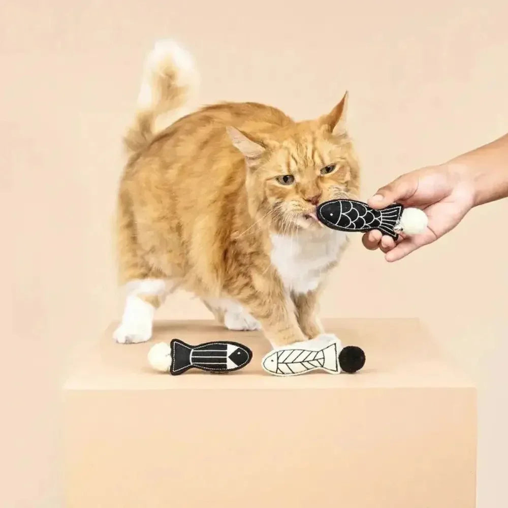 PetShop by Fringe Studio Off The Scales Cat Toy Mini Set 3pc - Talis Us