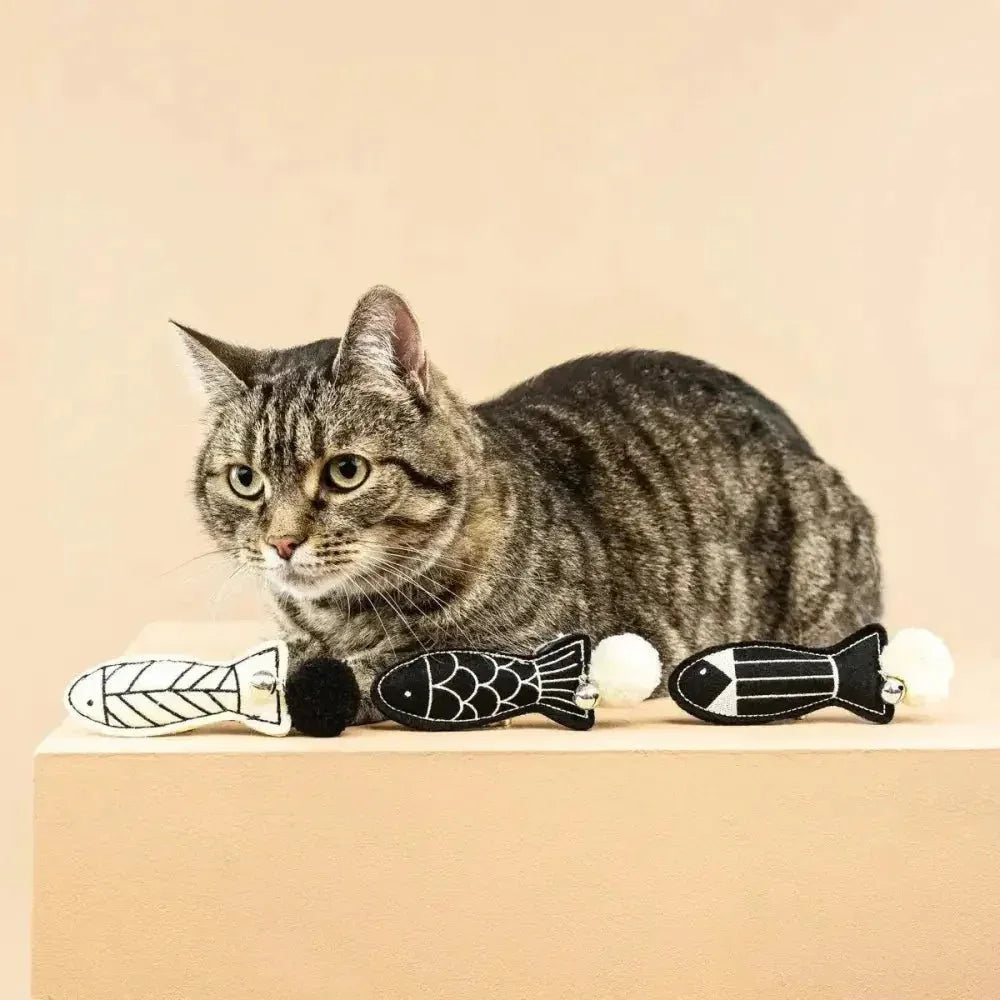 PetShop by Fringe Studio Off The Scales Cat Toy Mini Set 3pc - Talis Us