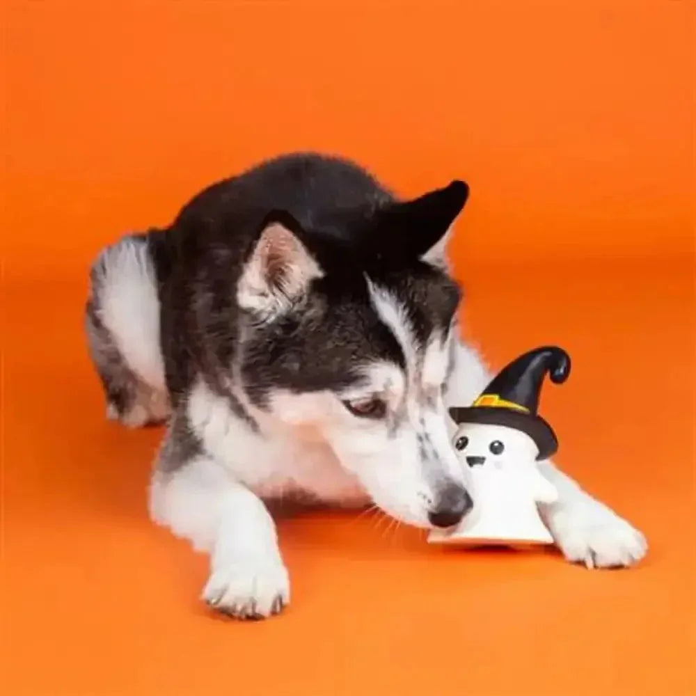 PetShop by Fringe Studio One Wicked Ghost Dog Chew Toy - Talis Us