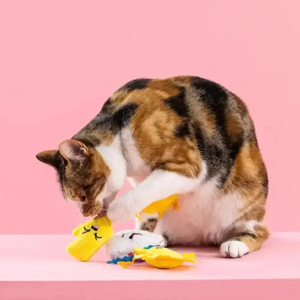 PetShop by Fringe Studio Purr - fect Weather Cat Toy Set 3pc - Talis Us