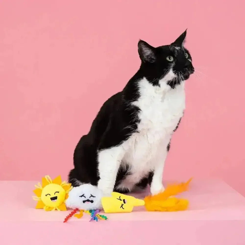 PetShop by Fringe Studio Purr - fect Weather Cat Toy Set 3pc - Talis Us