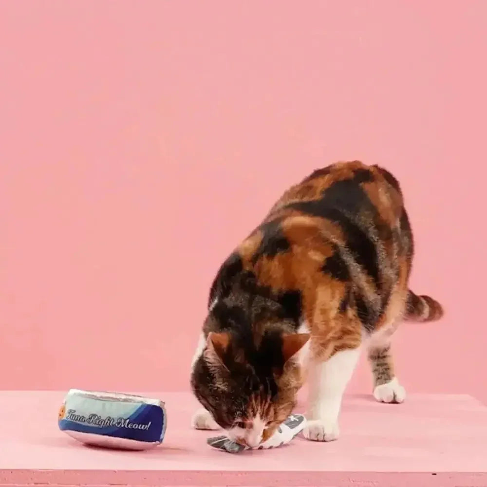 PetShop by Fringe Studio Tuna Right Meow Cat Toy Set 2pc - Talis Us