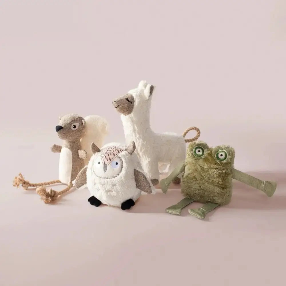 PetShop by Fringe Studio Bring More Nut Earth Friendly Dog Toy - Talis Us