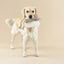 PetShop by Fringe Studio Bring More Nut Earth Friendly Dog Toy - Talis Us