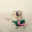 PetShop by Fringe Studio Flamingo Fun Large Plush Dog Toy - Talis Us