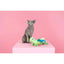 PetShop by Fringe Studio Hop On By Kicker Cat Toy - Talis Us