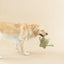 PetShop by Fringe Studio I Jump Around Earth Friendly Small Dog Toy - Talis Us