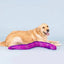 PetShop by Fringe Studio Kind Of A Big Eel Large Plush Dog Toy - Talis Us
