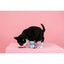 PetShop by Fringe Studio Minty Fresh Cat Toy Set 3pc - Talis Us