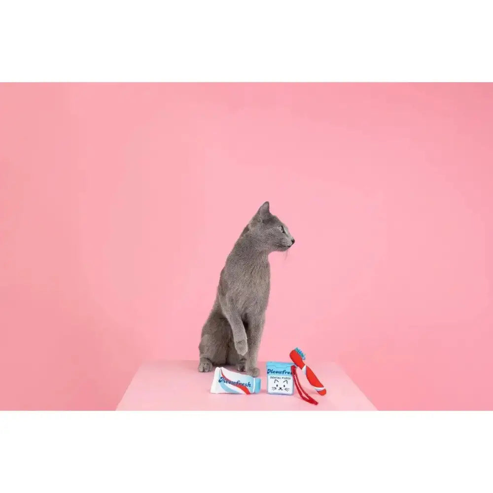 PetShop by Fringe Studio Minty Fresh Cat Toy Set 3pc - Talis Us