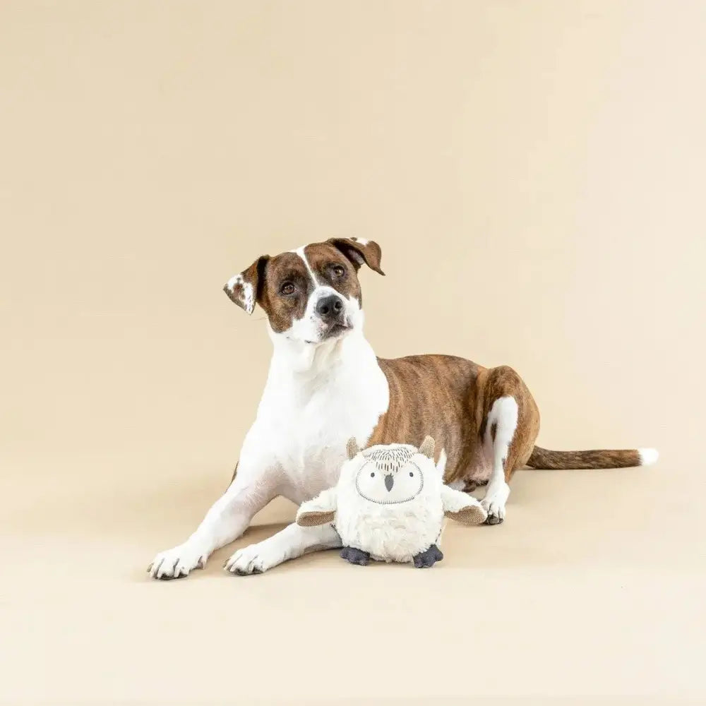 PetShop by Fringe Studio Whoooo's There? Earth Friendly Dog Toy - Talis Us