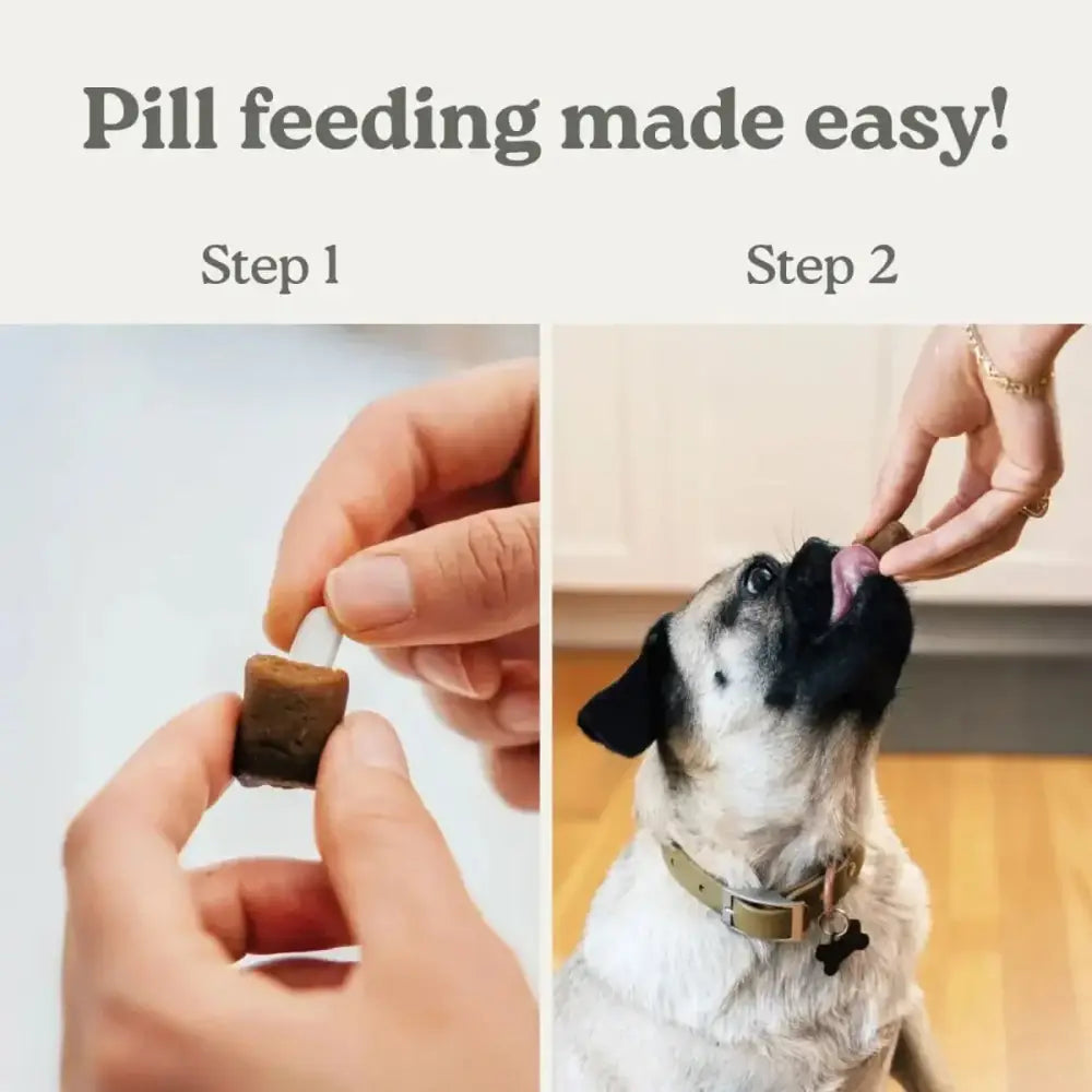 Pill Buddy Naturals Soft & Chewy Dog Treats - Talis Us