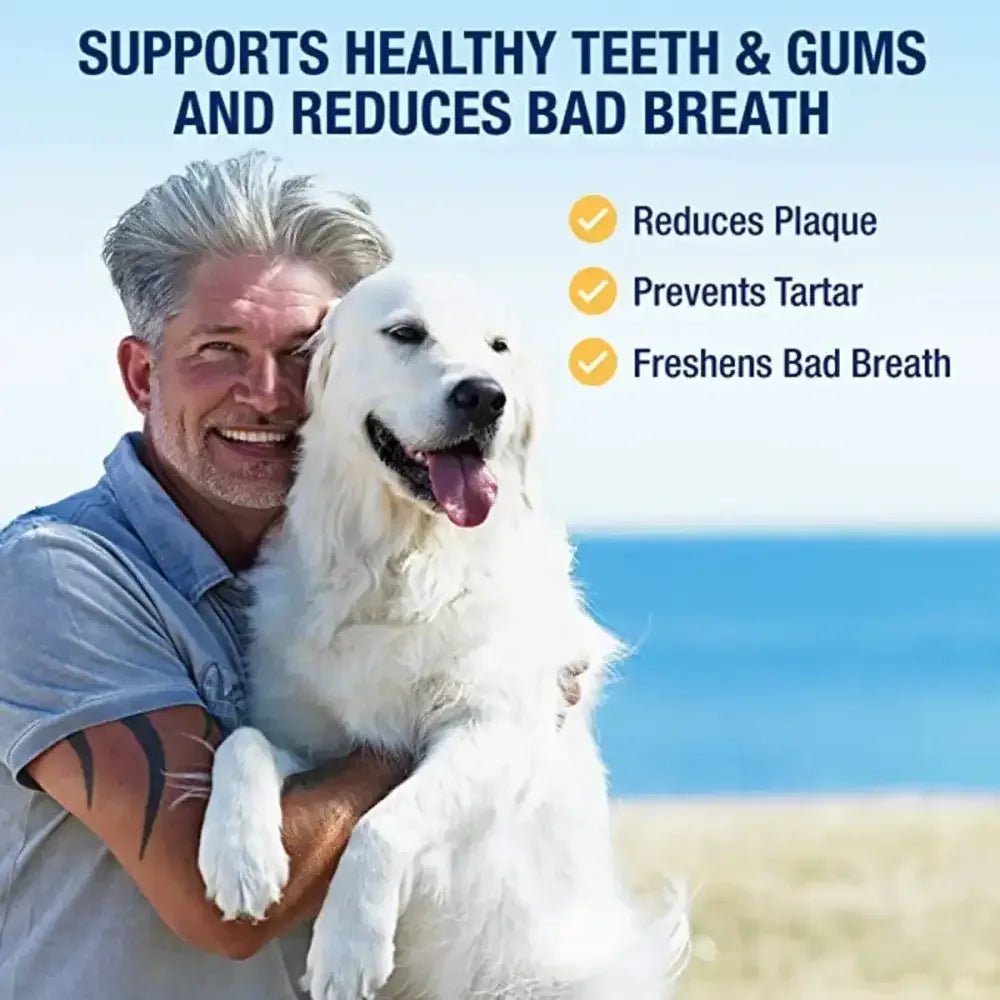 PlaqueOff Dog & Cat Dental Powder - Talis Us