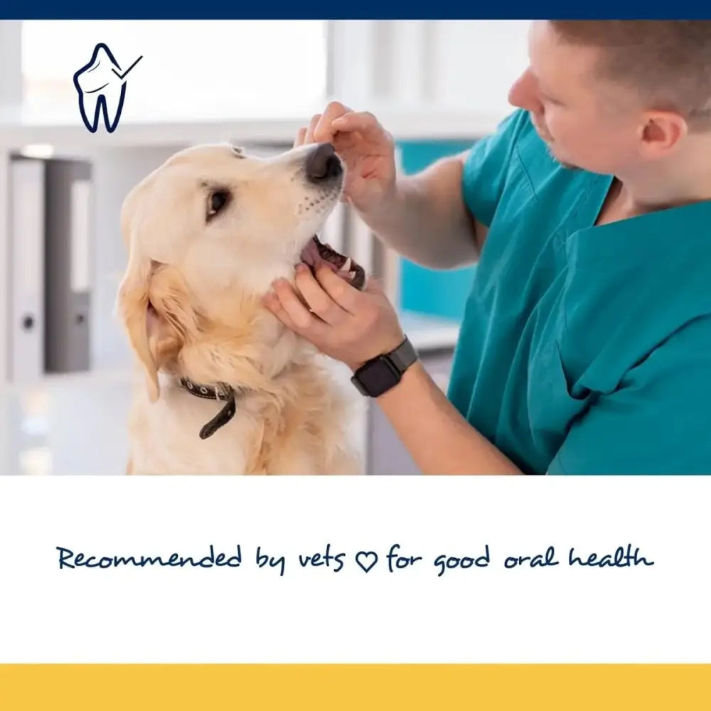 PlaqueOff Soft Chews Large Breed Dogs - Talis Us