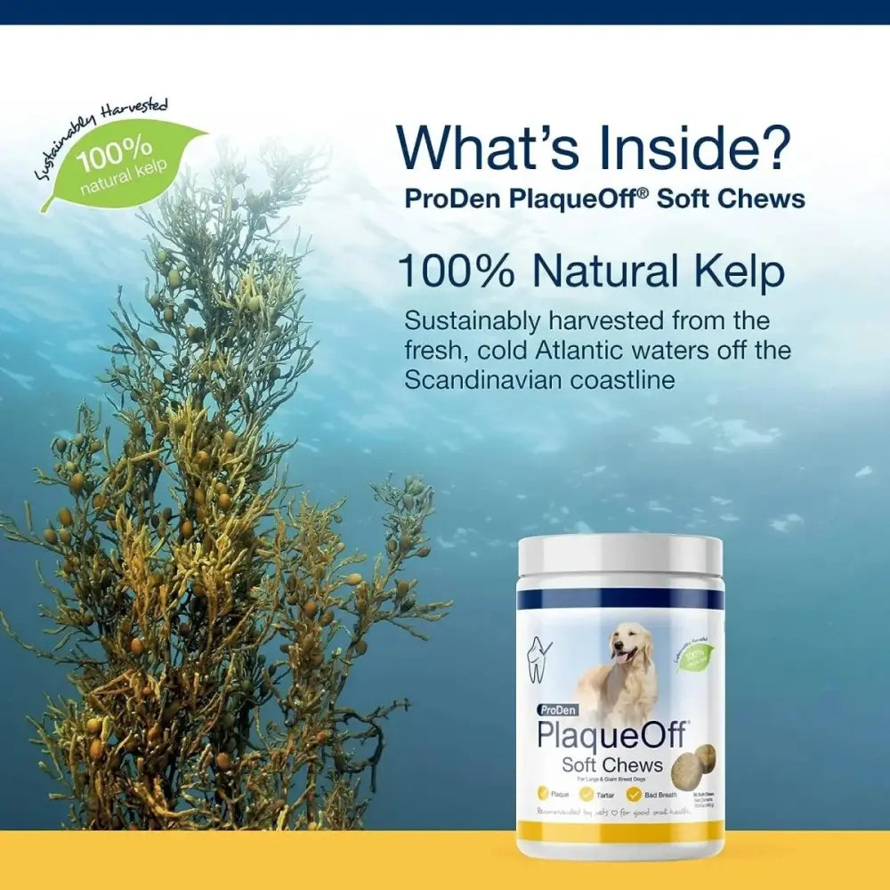 PlaqueOff Soft Chews Large Breed Dogs - Talis Us