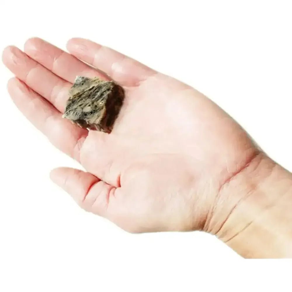 Plato Hundur's Crunch Jerky Minis - Talis Us
