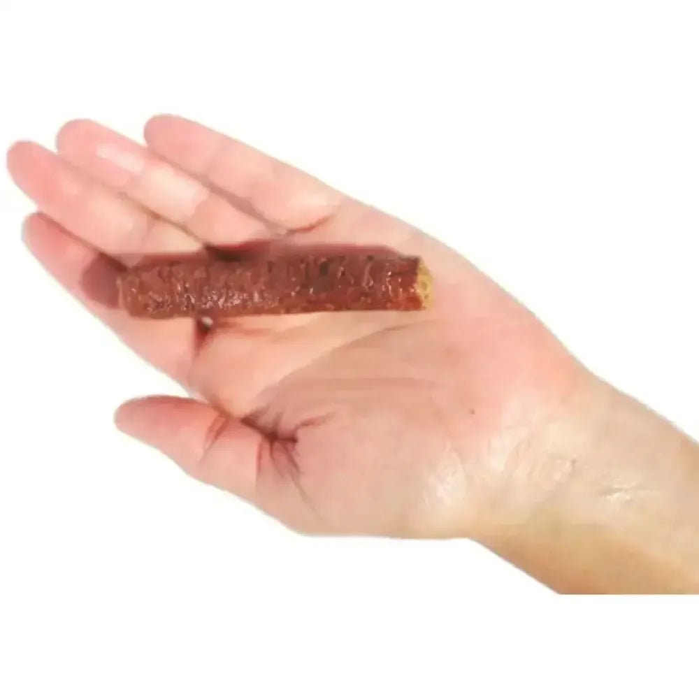 Plato Mini Thinkers Lamb Training Dog Treats - Talis Us