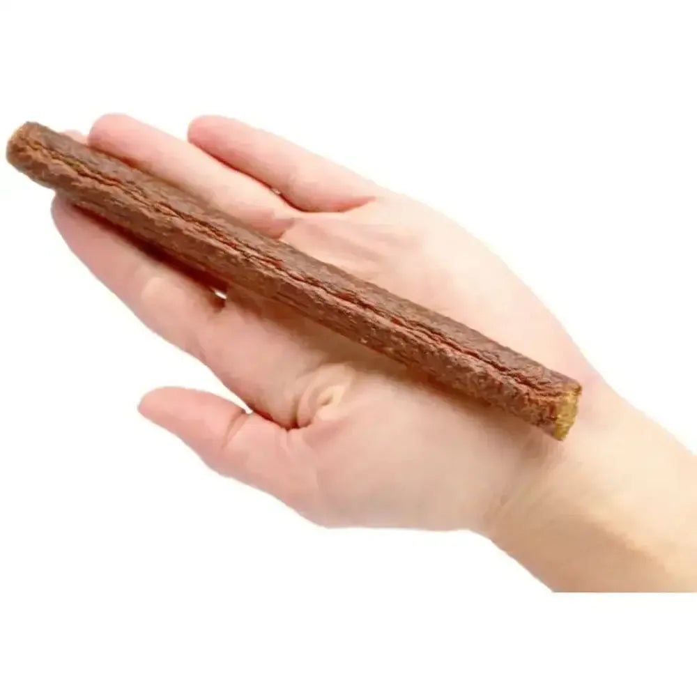 Plato Thinkers Salmon Dog Treats - Talis Us
