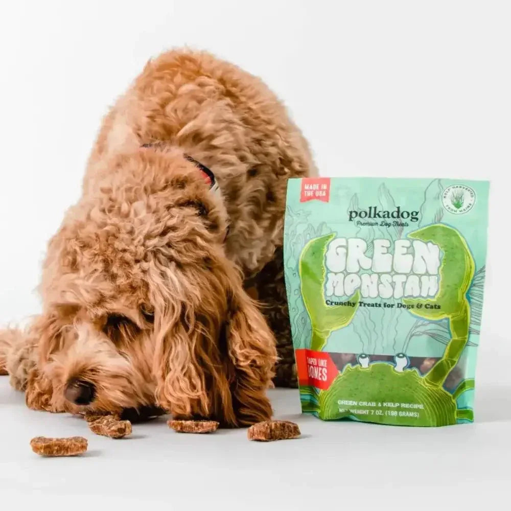 Polkadog Green Monstah Bone Shaped Crunchy Dog and Cat Treats - Talis Us