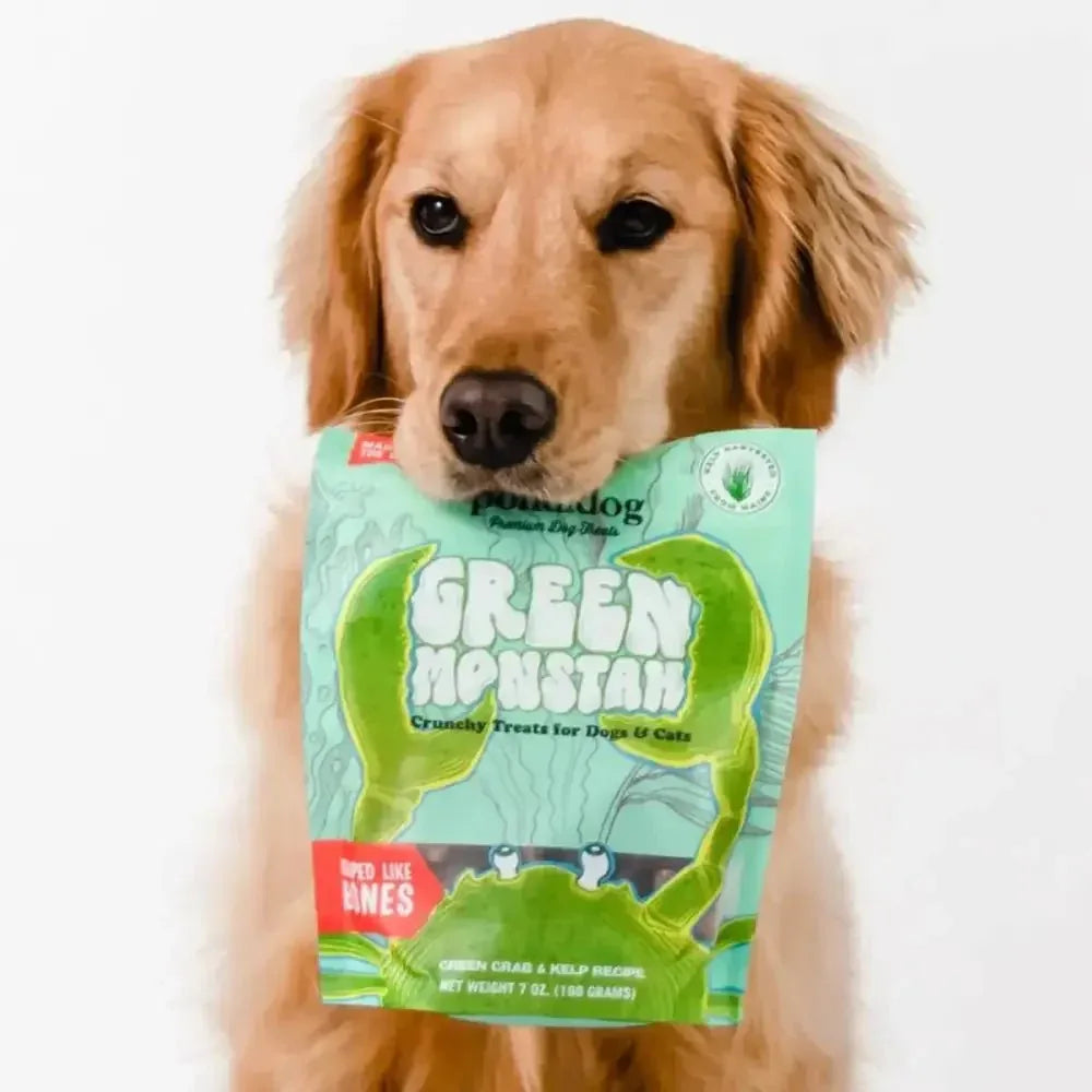 Polkadog Green Monstah Bone Shaped Crunchy Dog and Cat Treats - Talis Us