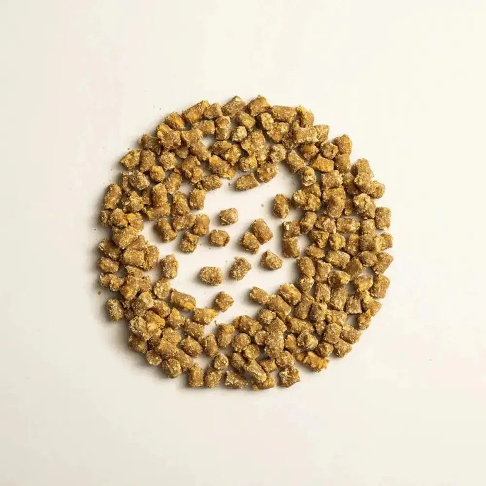Polkadog Wonder Nuggets Training Bits Sweet Potato & Beef Liver Soft & Chewy Dog Treats 10oz - Talis Us