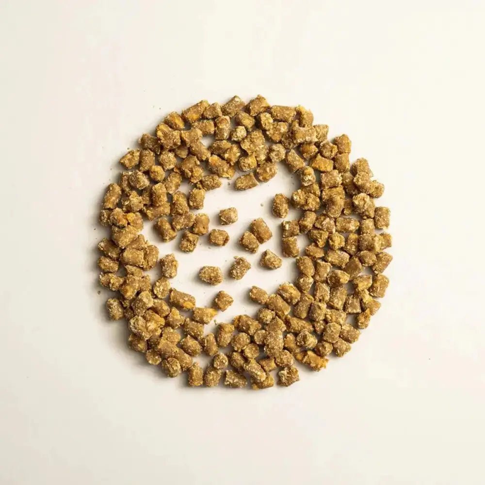 Polkadog Wonder Nuggets Training Bits Sweet Potato & Beef Liver Soft & Chewy Dog Treats 10oz - Talis Us