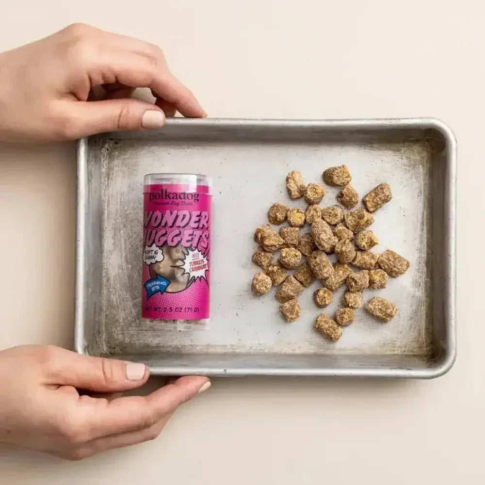Polkadog Wonder Nuggets Training Bits Turkey & Cranberry Soft & Chewy Dog and Cat Treats Mini Tube 2.5oz - Talis Us