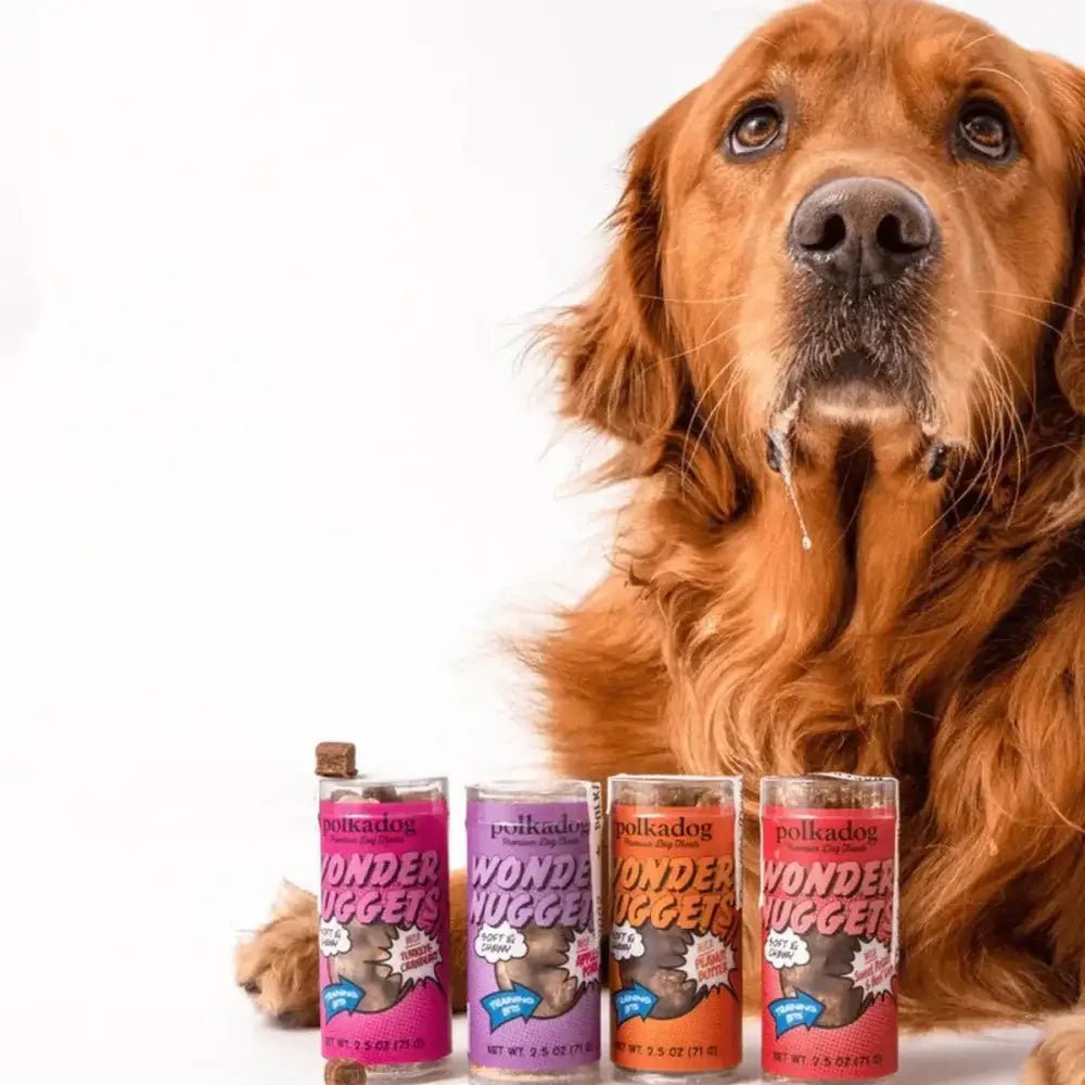 Polkadog Wonder Nuggets Training Bits Turkey & Cranberry Soft & Chewy Dog and Cat Treats Mini Tube 2.5oz - Talis Us