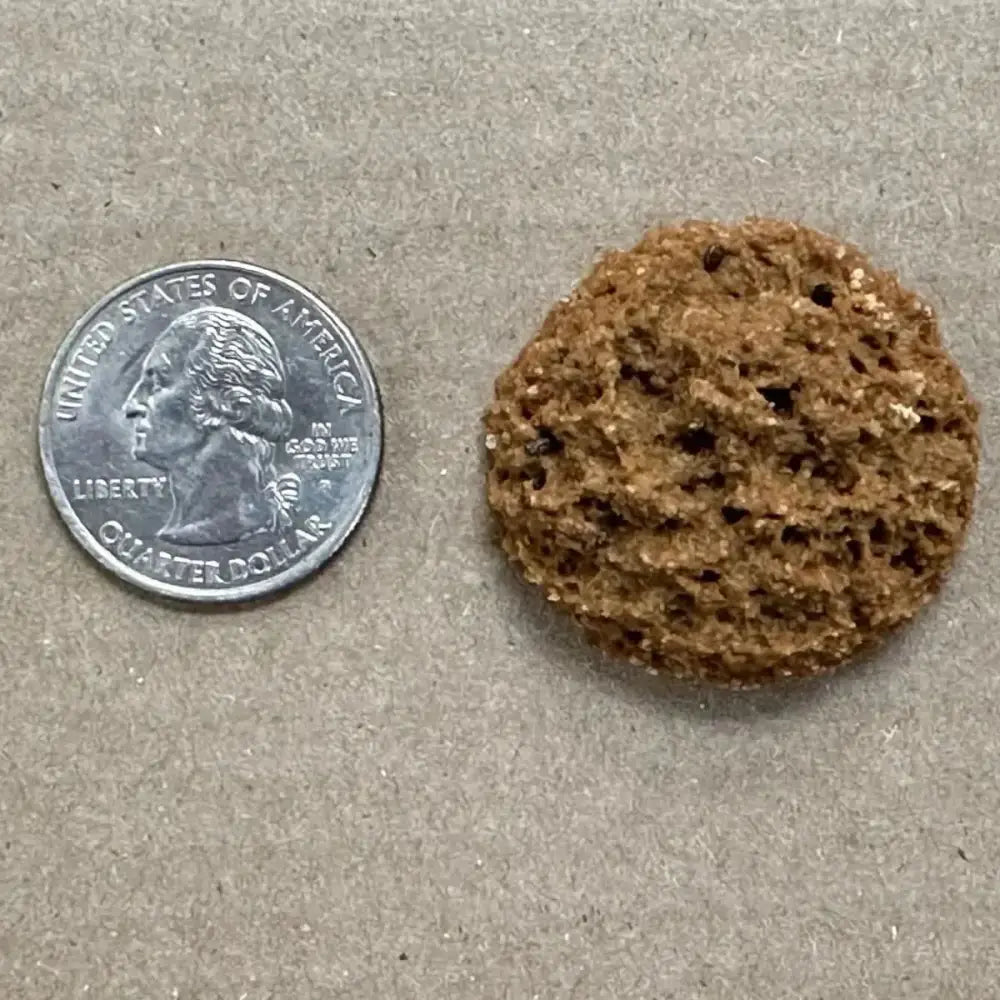 Poochie Butter Cheezy Soft Chewy Dog Treats - Talis Us