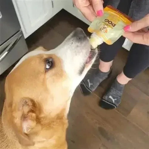 Poochie Butter Dog Peanut Butter (Squeeze Pack) - Talis Us