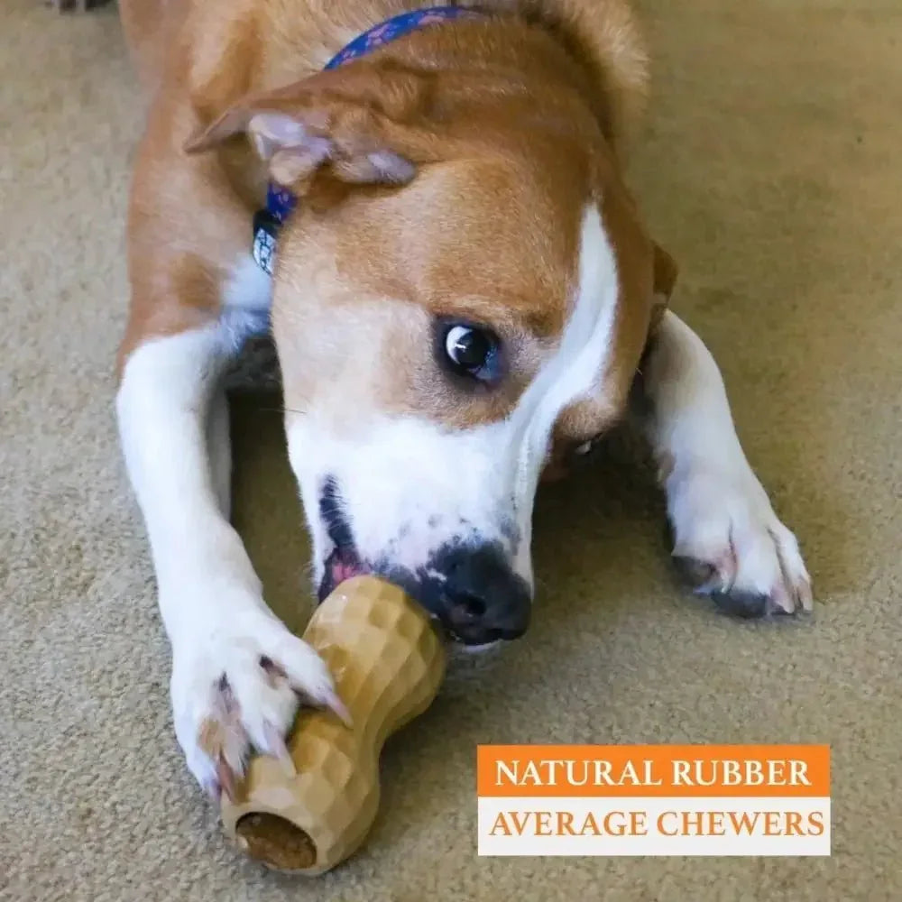 Poochie Butter Filler Dog Chew Toy - Talis Us