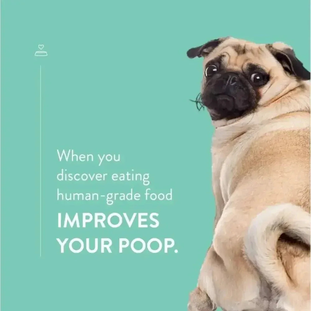 Portland Pet Food Company Bacon Brew Biscuits Dog Treats 5oz - Talis Us